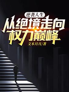 逆袭人生,从绝境走向权力巅峰