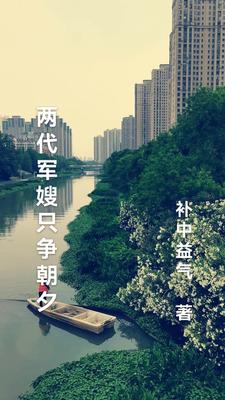 两代军嫂只争朝夕txt小说免费阅读