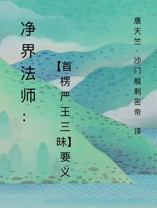 净界法师讲楞严经全集视频