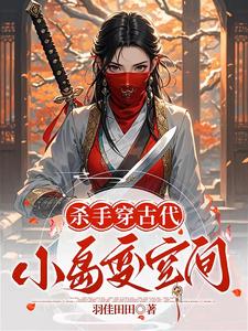 穿越古代的杀手小说