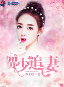 贺少追妻莫回头全文阅读无弹窗