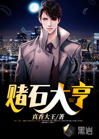 赌石类全本小说