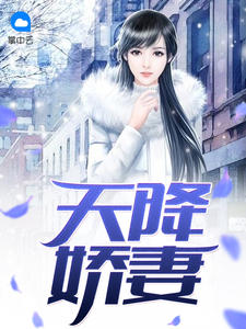 天降娇妻小说全文免费阅读无弹窗