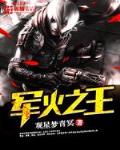 美国电影军火之王
