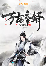 类似万古帝婿的小说