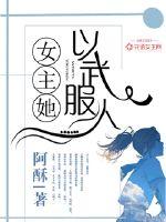 女主她以武服人书评